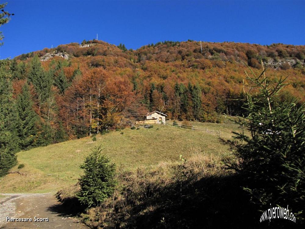 07 paesaggio autunnale.JPG